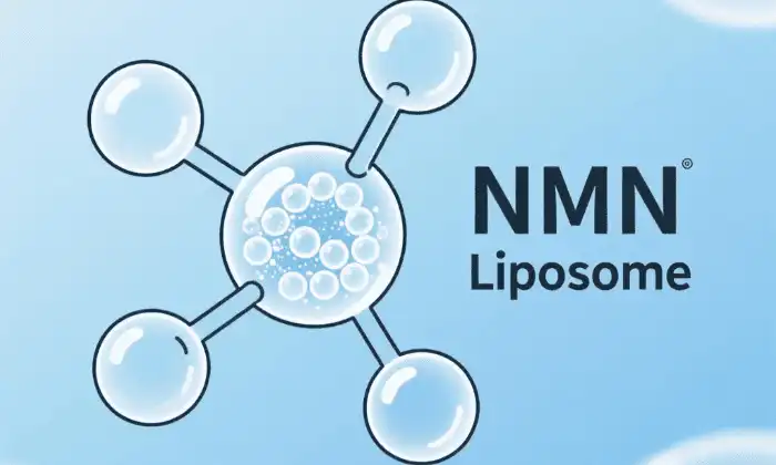 How Liposomal NMN Powder Supports Metabolic Health?